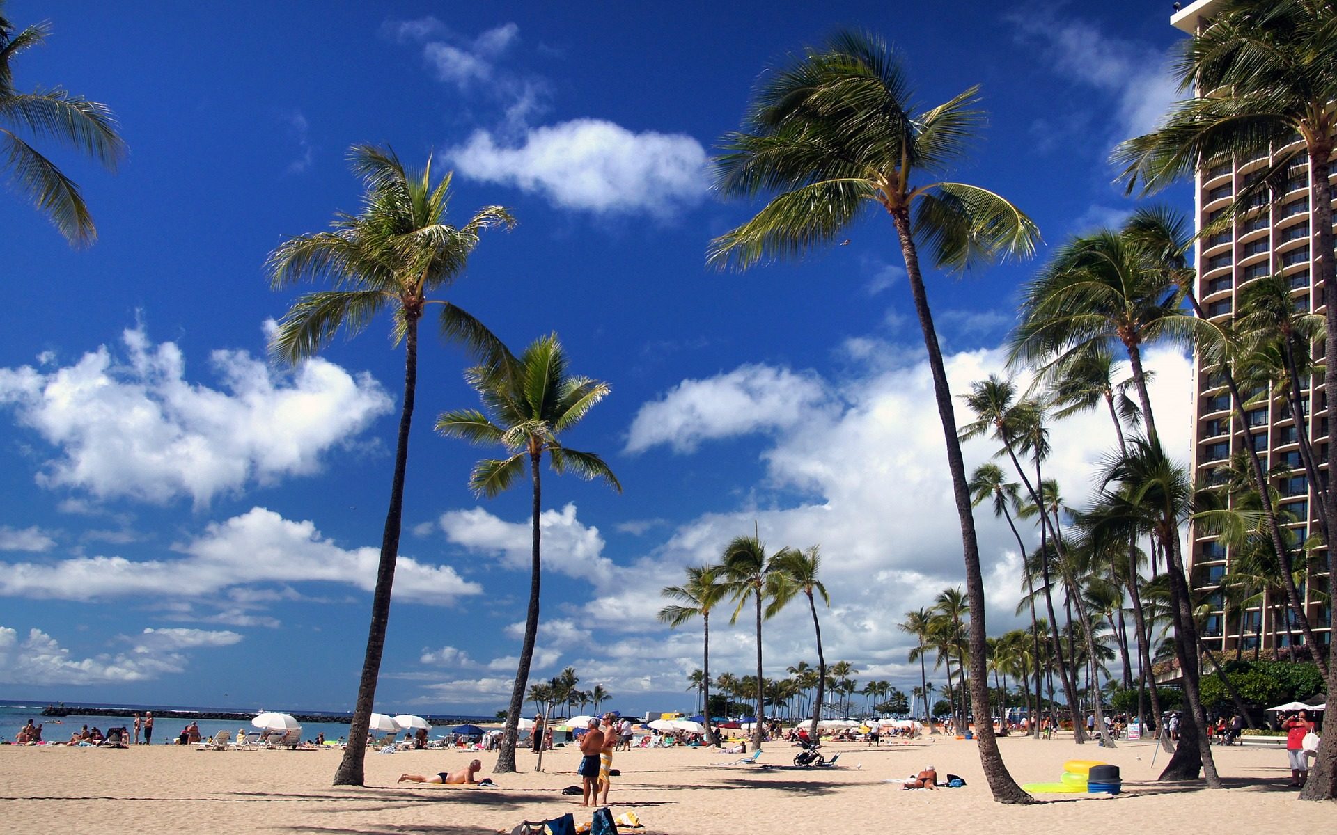 Englisch übersetzen Zürich Honolulu
