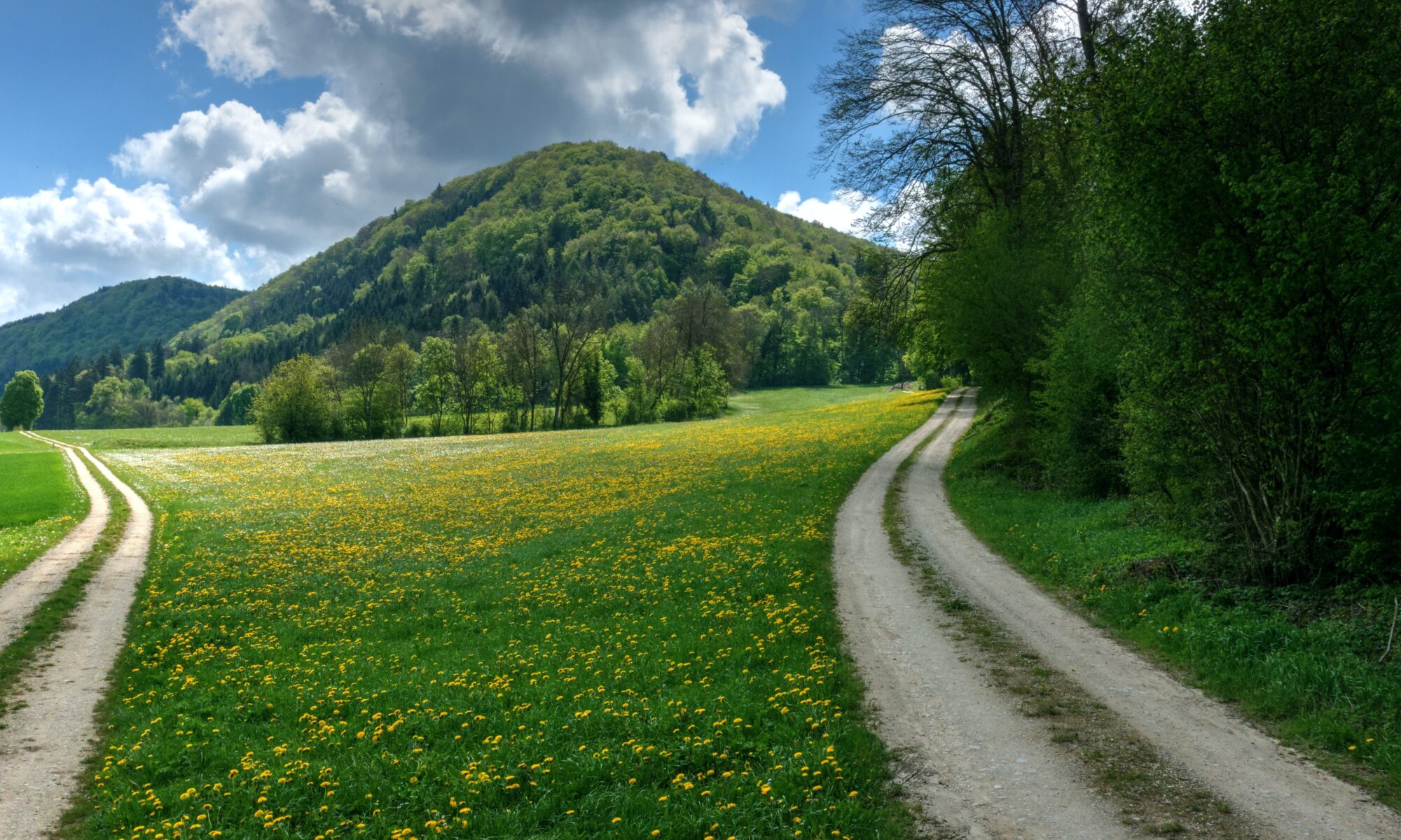 Professional translations in Wilchingen